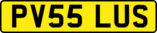 PV55LUS