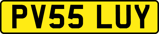 PV55LUY