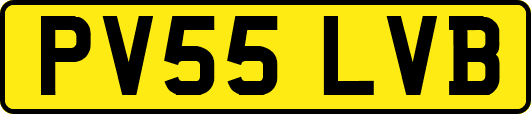 PV55LVB