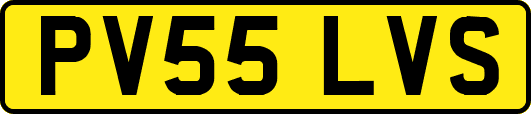 PV55LVS
