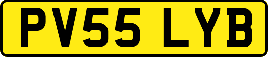 PV55LYB