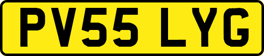 PV55LYG