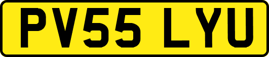 PV55LYU