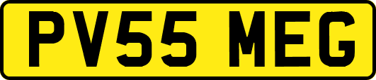 PV55MEG