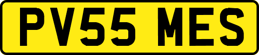 PV55MES