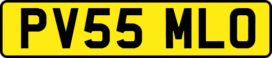 PV55MLO