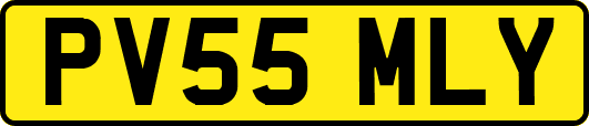 PV55MLY