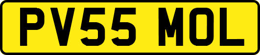PV55MOL