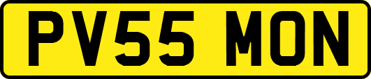 PV55MON