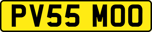 PV55MOO