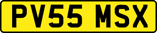 PV55MSX