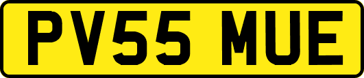 PV55MUE