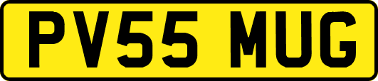 PV55MUG