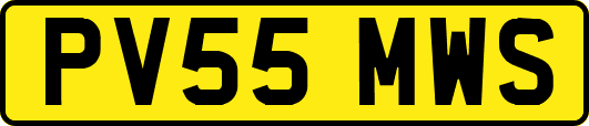 PV55MWS