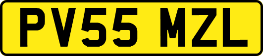 PV55MZL