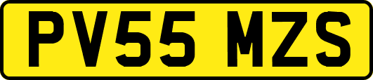PV55MZS