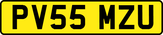 PV55MZU