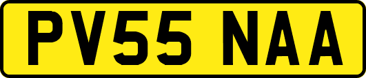 PV55NAA