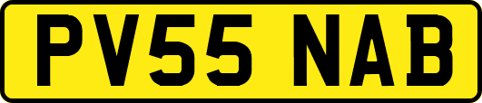 PV55NAB