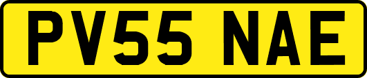 PV55NAE