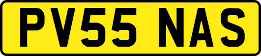 PV55NAS