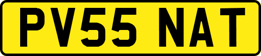 PV55NAT