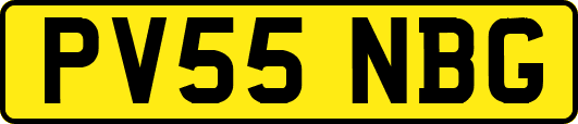 PV55NBG