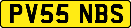 PV55NBS