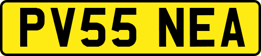 PV55NEA