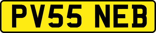 PV55NEB