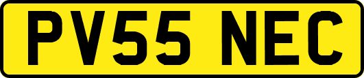 PV55NEC