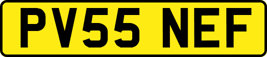 PV55NEF
