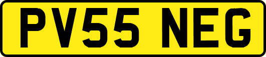 PV55NEG