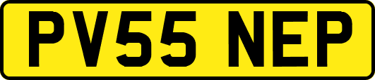PV55NEP