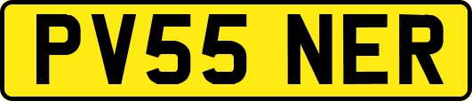 PV55NER