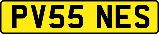 PV55NES