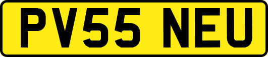 PV55NEU