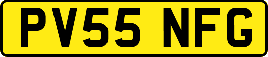 PV55NFG