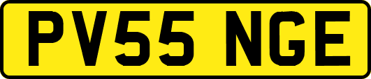 PV55NGE