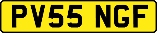 PV55NGF