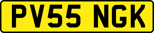 PV55NGK