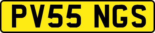 PV55NGS