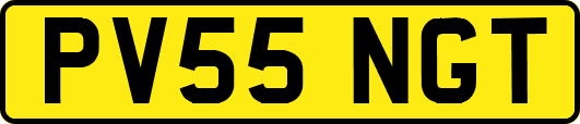 PV55NGT