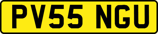 PV55NGU