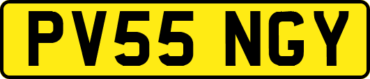 PV55NGY