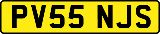 PV55NJS
