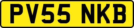 PV55NKB