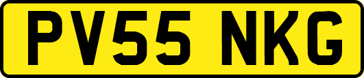 PV55NKG