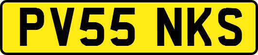 PV55NKS