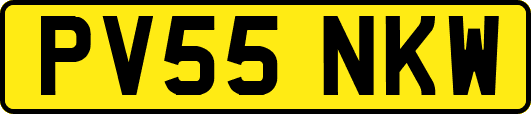 PV55NKW